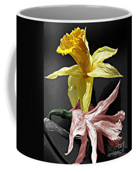 Flowers Coffee Mug featuring the photograph Dried Daffodils by Nina Silver