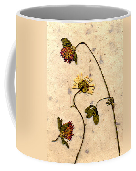 Dried Flowers Coffee Mug featuring the photograph Dried Flowerrs 1 by Matthew Pace