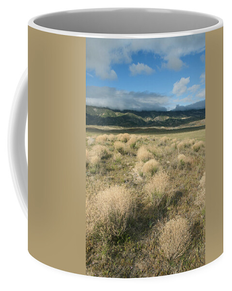 Feb0514 Coffee Mug featuring the photograph Dried Shrubs In Late Winter Carrizo by Kevin Schafer