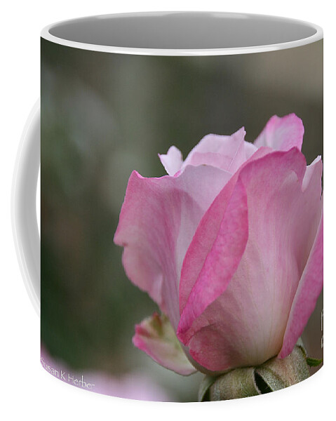 Flower Coffee Mug featuring the photograph Drifting Open by Susan Herber