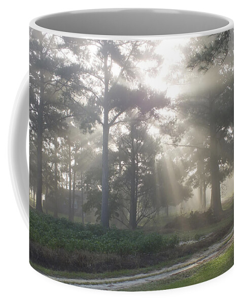 Driveway To Paradise Coffee Mug featuring the photograph Driveway to Paradise by Mike McGlothlen