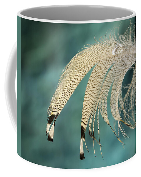 Design Coffee Mug featuring the photograph Droopy Feather by Jean Noren