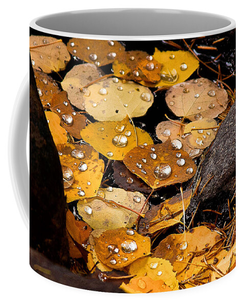 Nature Coffee Mug featuring the photograph Drops on Nature's Gold by Steven Reed