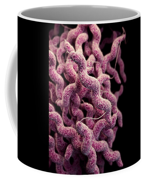 Drug Resistant Coffee Mug featuring the photograph Drug-resistant Campylobacter by Science Source