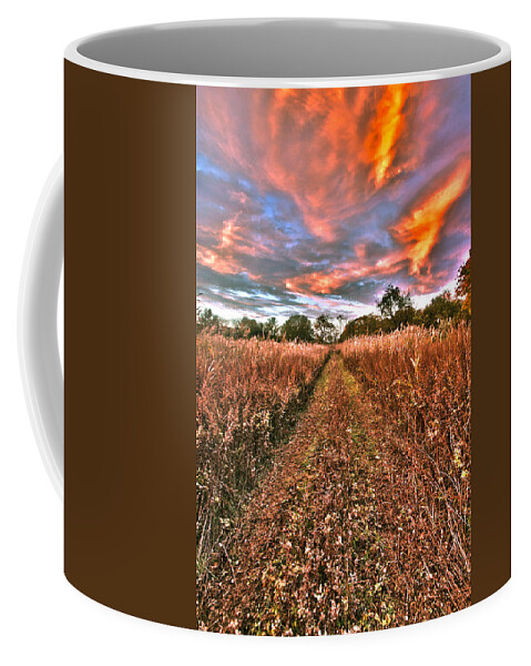 Duck Coffee Mug featuring the photograph Duck Farm Grass Road by Robert Seifert