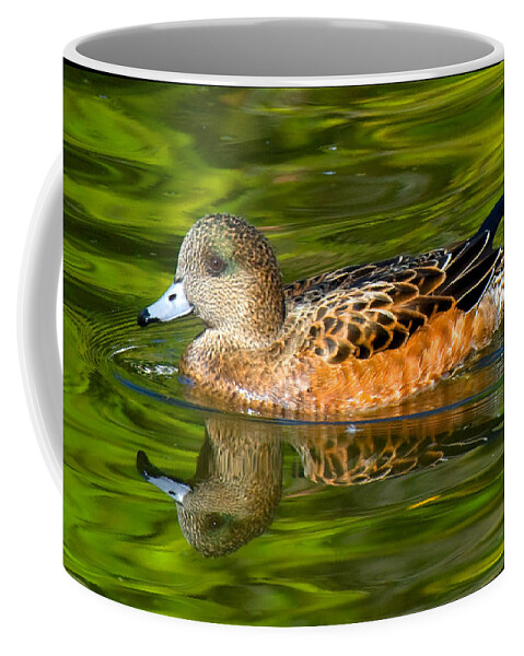 Duck Coffee Mug featuring the photograph Young Female Mallard Duck by Ginger Wakem