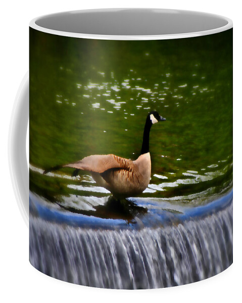 Bakewell Coffee Mug featuring the photograph Duck on the River Wye Waterfall - In Bakewell Peak District - England by Doc Braham