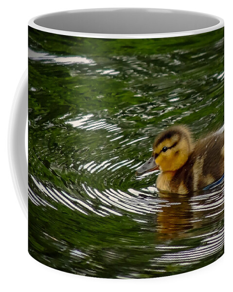 Nature Coffee Mug featuring the photograph Duckling by Robert Mitchell