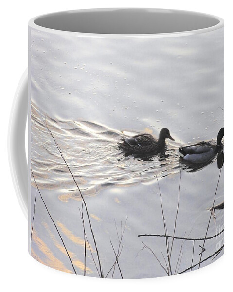 Lambertville Coffee Mug featuring the photograph Ducks by Christopher Plummer
