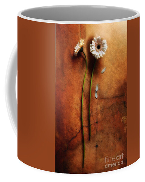 Gerbera Coffee Mug featuring the photograph Duet by Jaroslaw Blaminsky