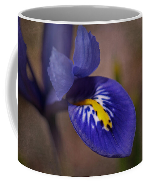 Dwarf Blue Harmony Iris Coffee Mug featuring the photograph Dwarf Blue Harmony Iris by Liz Mackney