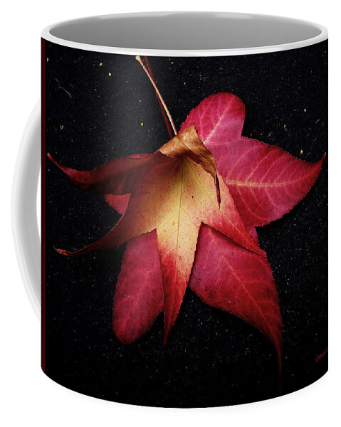 Leaves Coffee Mug featuring the photograph Dying For Love by Donna Blackhall