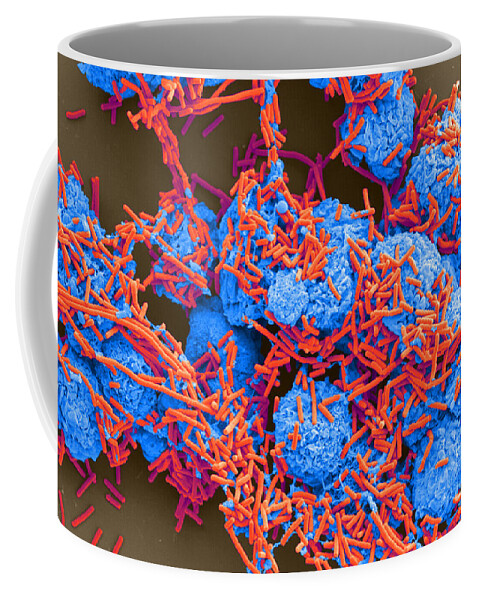 Science Coffee Mug featuring the photograph E Coli And Macrophages Sem by Science Source