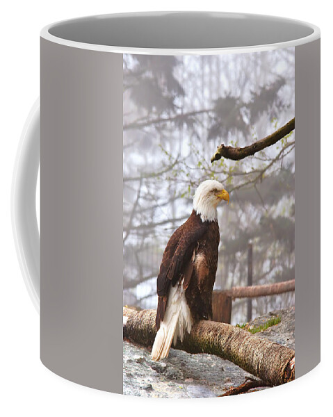 Bald Eagle Coffee Mug featuring the photograph Eagle in the Fog by Mary Almond