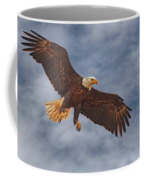 Bald Eagle Coffee Mug featuring the photograph Eagle In the Sky by Beth Sargent