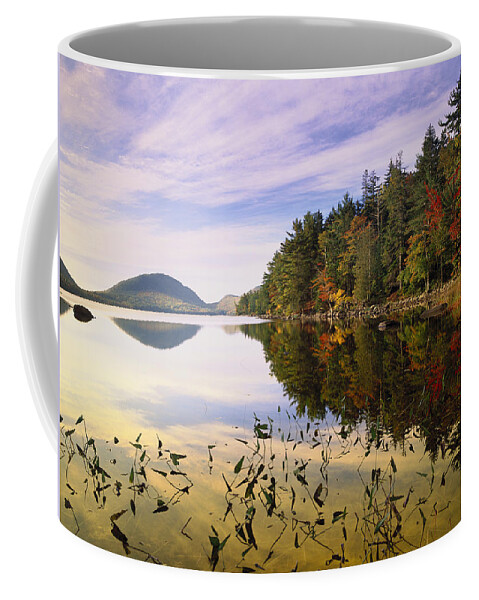Feb0514 Coffee Mug featuring the photograph Eagle Lake On Mt Desert Island Acadia by Tim Fitzharris