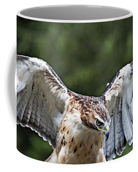  Coffee Mug featuring the photograph Eagle Wings by Bill Howard