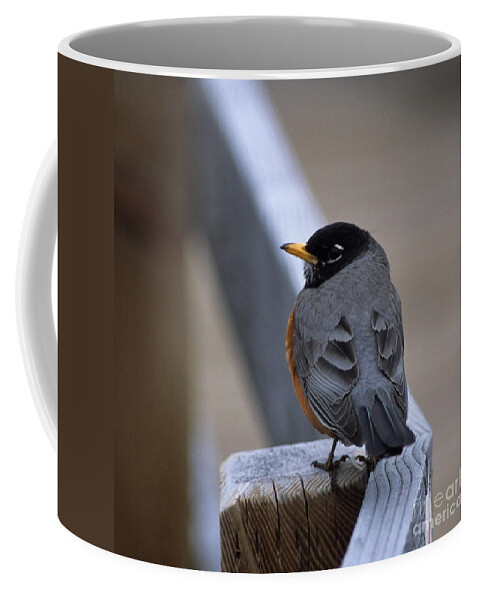 Robin Coffee Mug featuring the photograph Early Bird by Sharon Elliott