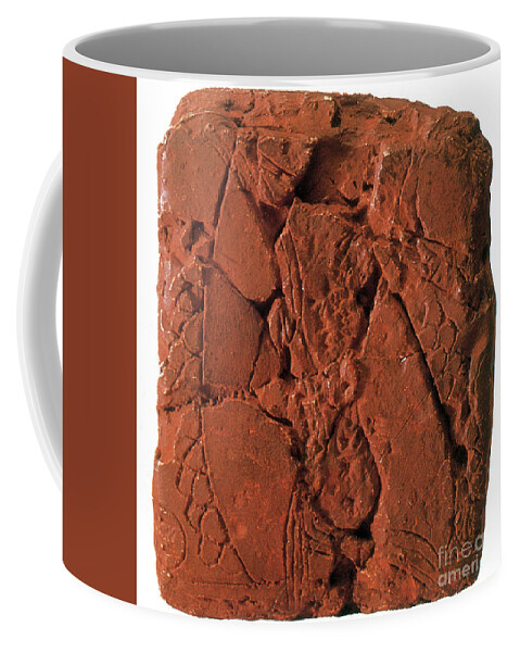 Archeology Coffee Mug featuring the photograph Early Map, Babylonian Clay Tablet, 6200 by Science Source