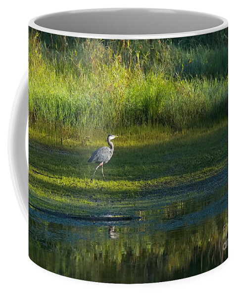 Great Blue Heron Coffee Mug featuring the photograph Early Morning at the Marsh 2a by Sharon Talson