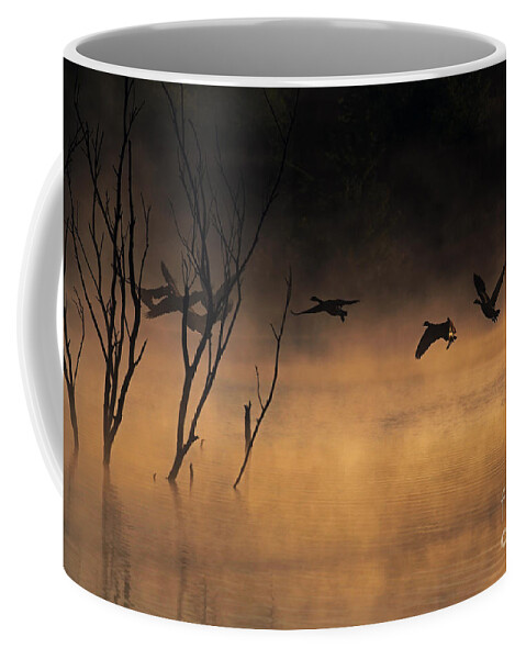 Lake Coffee Mug featuring the photograph Early Morning Flight by Elizabeth Winter