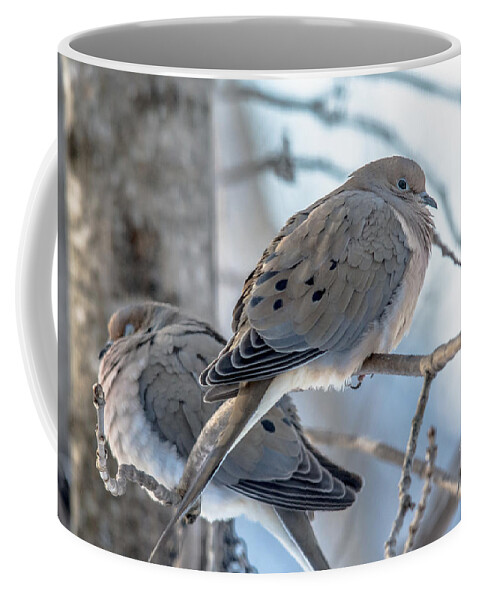Birds Coffee Mug featuring the photograph Early Mourning by Cheryl Baxter