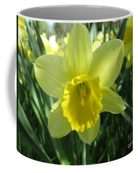 Easter Lily Coffee Mug featuring the photograph Easter Lily by Martin Howard