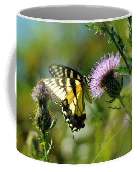 Papilio Glaucus Coffee Mug featuring the photograph Eastern Tiger Swallowtail on Thistle by Rebecca Sherman