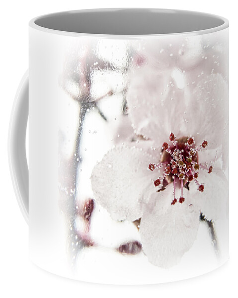 Plum Blossom Coffee Mug featuring the photograph Effervescent by Caitlyn Grasso