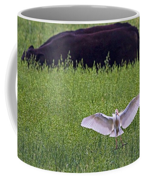 Cattle Egret Coffee Mug featuring the photograph Egret Egress by Gary Holmes