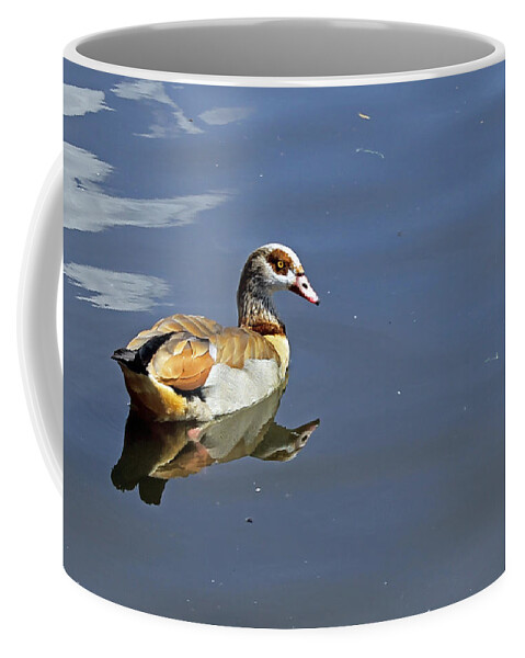 Birds Coffee Mug featuring the photograph Egyptian Goose by Tony Murtagh