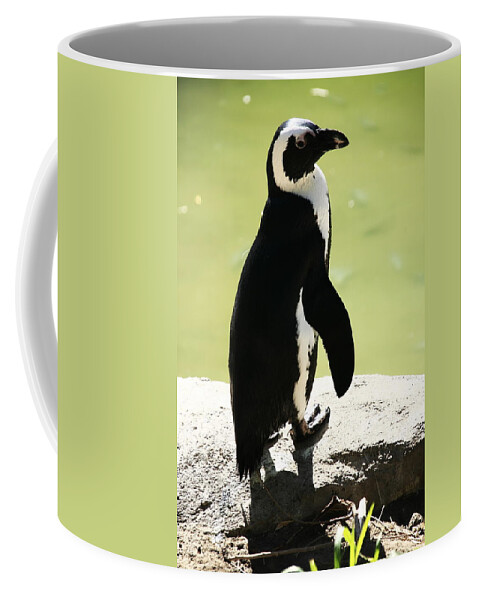 Penguins Coffee Mug featuring the photograph Elegance by Aidan Moran