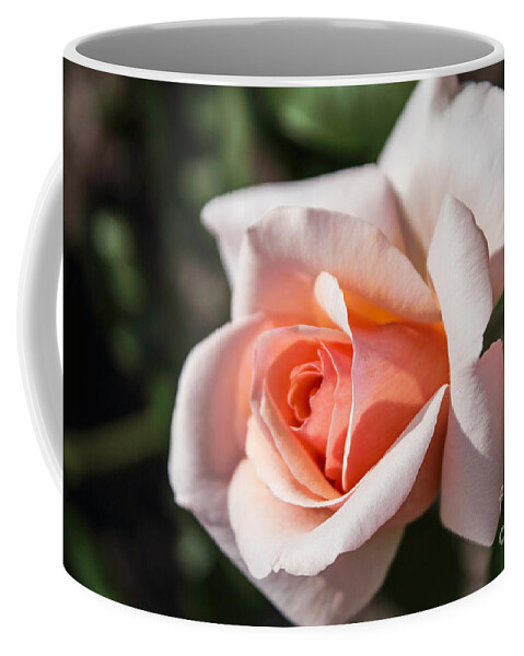 Peach Coffee Mug featuring the photograph Elegance by Arlene Carmel