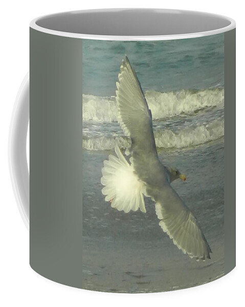 Seagulls Coffee Mug featuring the photograph Elegance by Gallery Of Hope 