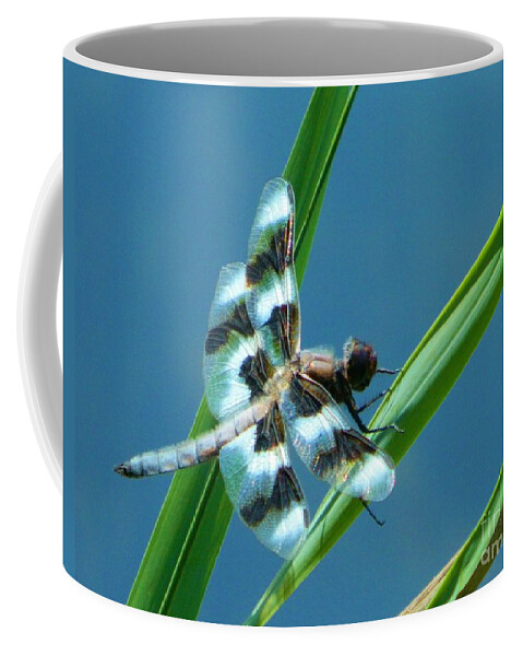 Nature Coffee Mug featuring the photograph Elegance of Nature by Gallery Of Hope 