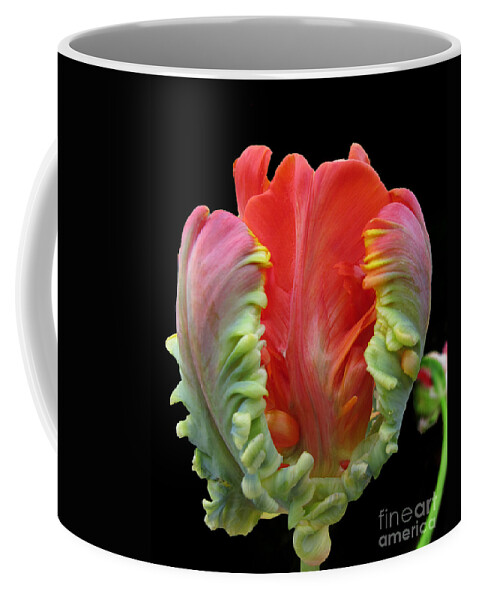 Tulip Coffee Mug featuring the photograph Elegant by Arlene Carmel