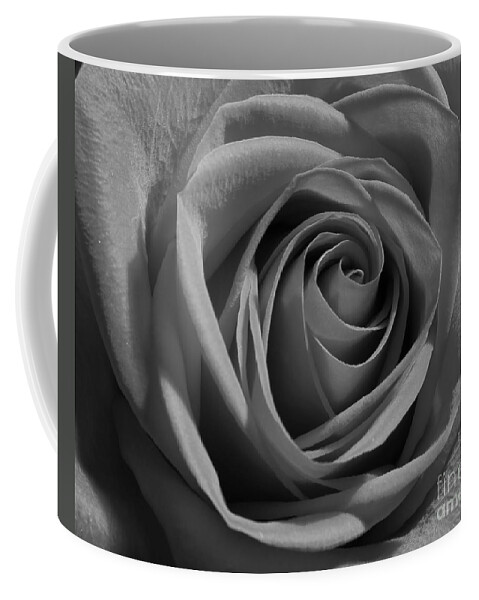 Rose Coffee Mug featuring the photograph Elegant Rose II by Anita Oakley