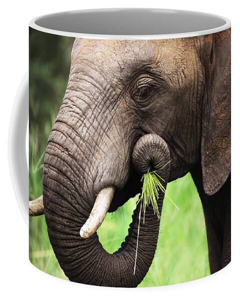 Green Coffee Mug featuring the photograph Elephant eating close-up by Johan Swanepoel