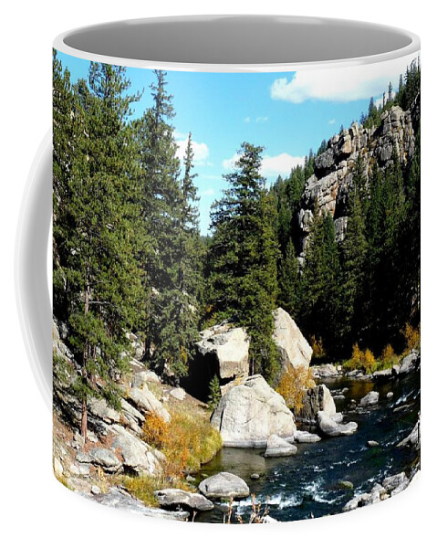 Colorado Coffee Mug featuring the photograph Eleven Mile Canyon Stream by Marilyn Burton