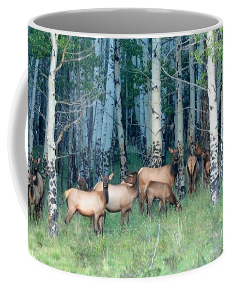 Colorado Coffee Mug featuring the photograph Elk in Aspen by Marilyn Burton