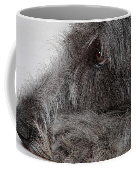 Irish Wolfhound Coffee Mug featuring the photograph Irish Wolfhound I by Agustin Uzarraga