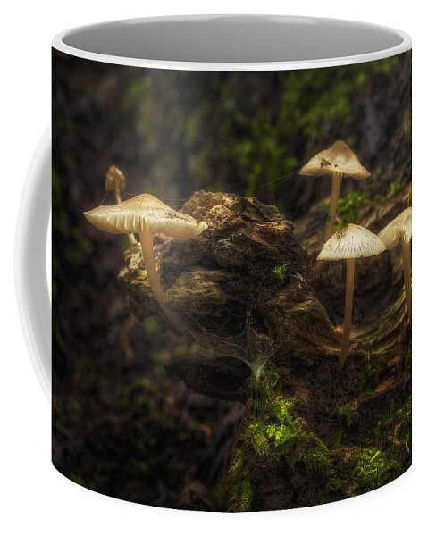 Mushrooms Coffee Mug featuring the photograph Enchanted Forest by Scott Norris