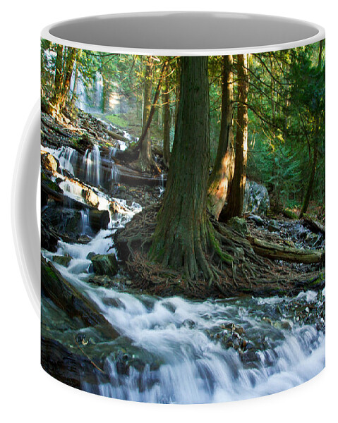 Rapids Coffee Mug featuring the photograph Enchanted river by Eti Reid