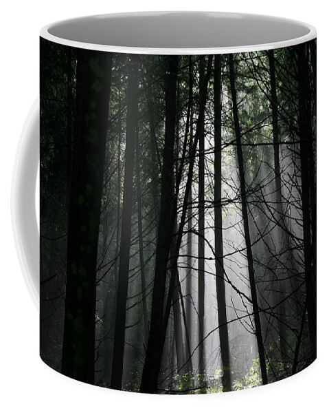 Light Ray Coffee Mug featuring the photograph Encounter of the Vermont Kind No.2 by Neal Eslinger