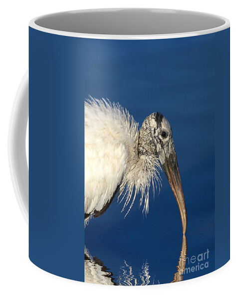 Woodstork Coffee Mug featuring the photograph Endangered Woodstork Reflection by Kathy Baccari
