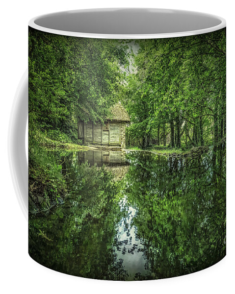 Bunratty Coffee Mug featuring the photograph Endless Shades Of Green by Evelina Kremsdorf