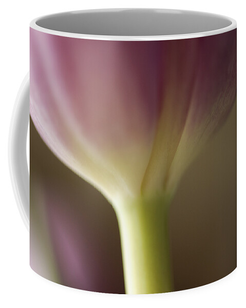 Baby Pink Coffee Mug featuring the photograph Ethereal Curvature by Christi Kraft