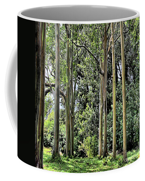 Rainbow Coffee Mug featuring the photograph Eucalyptus by DJ Florek