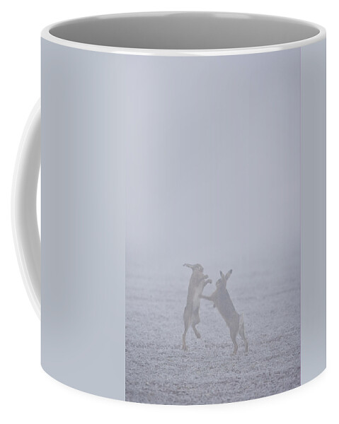 Flpa Coffee Mug featuring the photograph European Hares Boxing by Elliott Neep