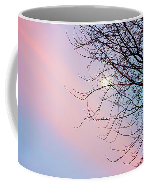 Sunset Coffee Mug featuring the photograph Evening Glow by Betty LaRue